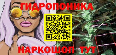 шишки Волжский