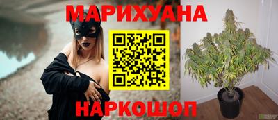 наркотики Будённовск