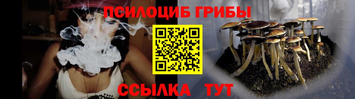 Галлюциногенные грибы Psilocybe Лесосибирск